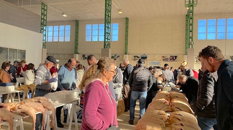 GRASSES MATINÉES - Les marchés au gras de Gimont ont repris